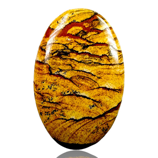 PICTURE JASPER