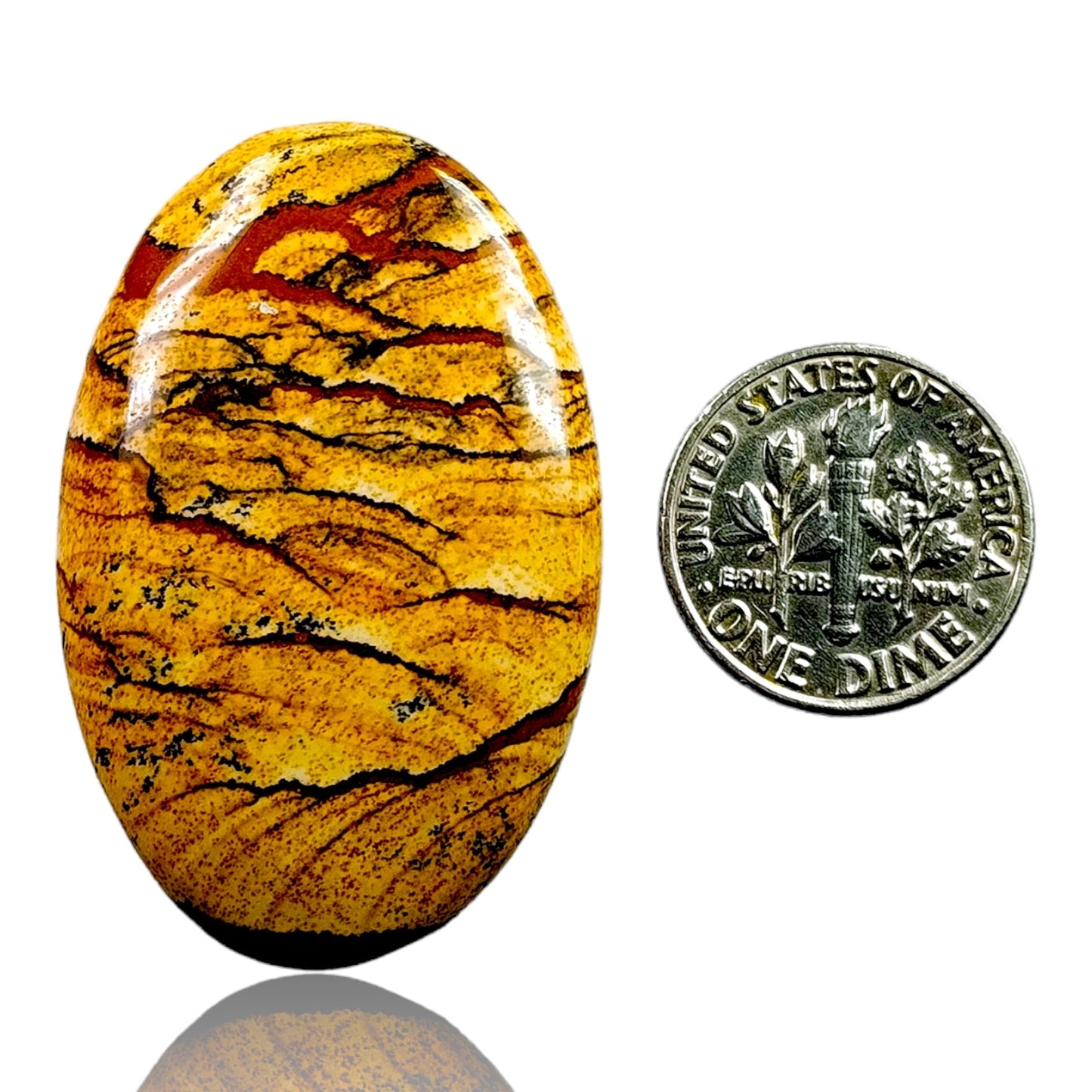 PICTURE JASPER