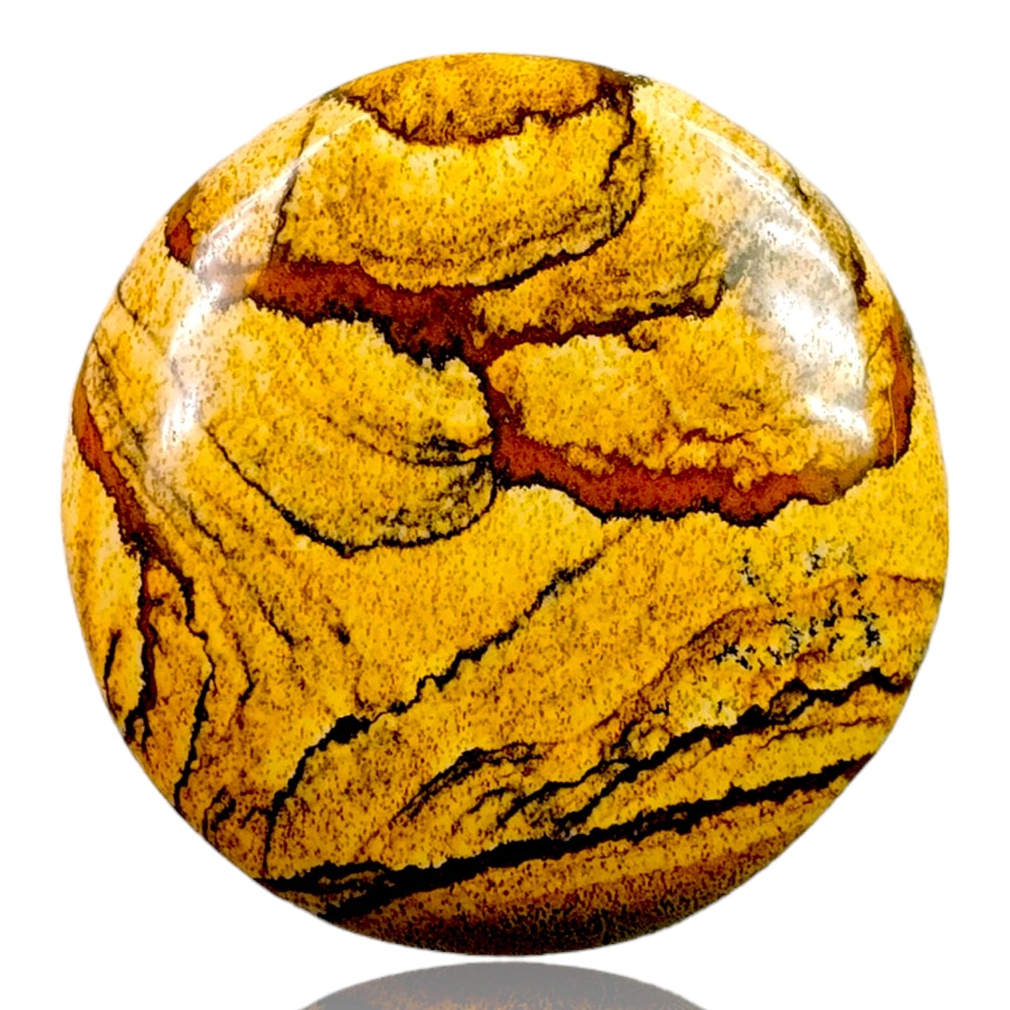 PICTURE JASPER