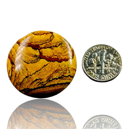 PICTURE JASPER