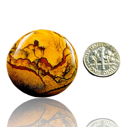 PICTURE JASPER