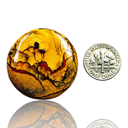 PICTURE JASPER