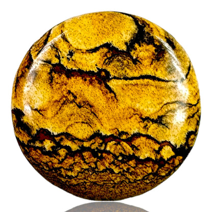 PICTURE JASPER