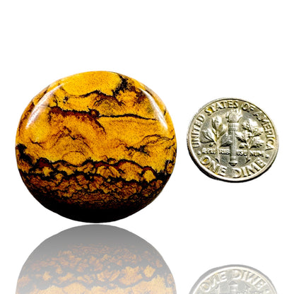 PICTURE JASPER