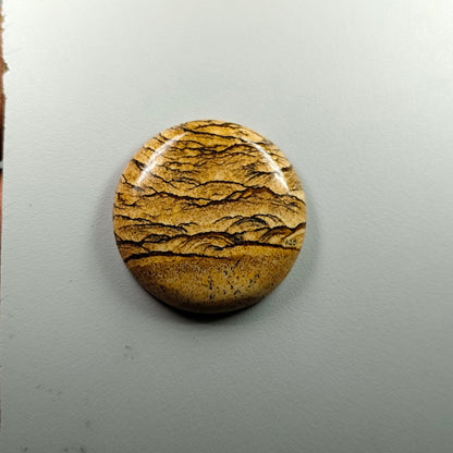 PICTURE JASPER