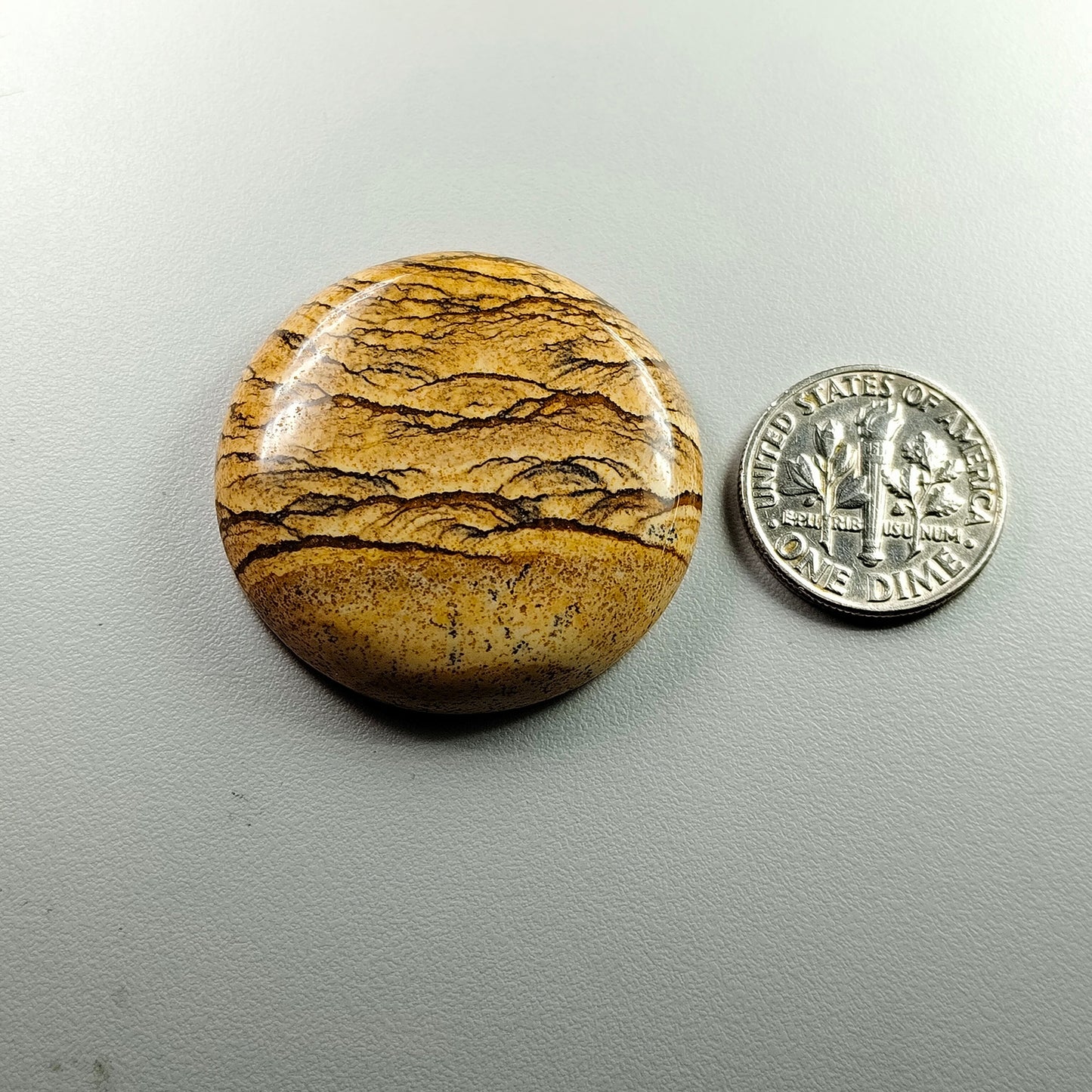 PICTURE JASPER