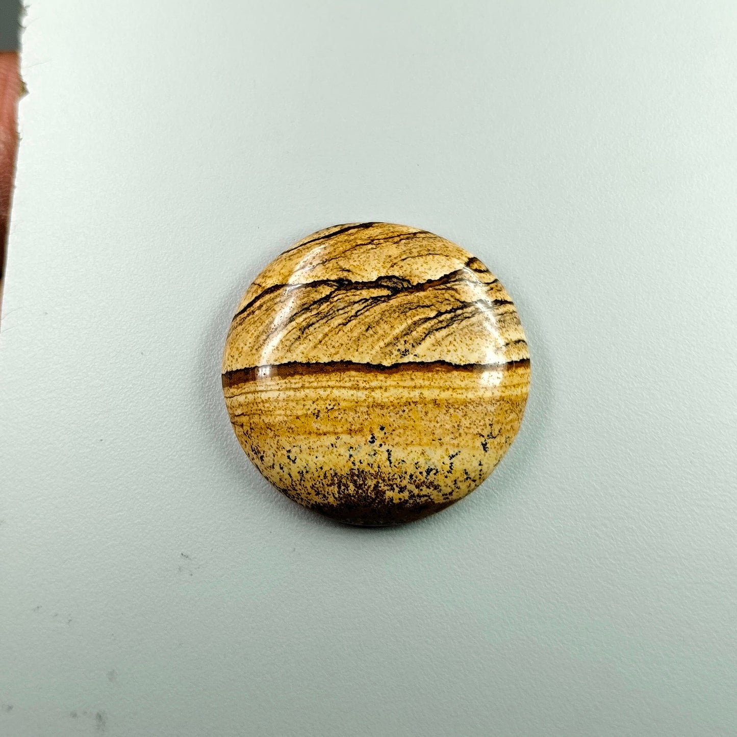 PICTURE JASPER