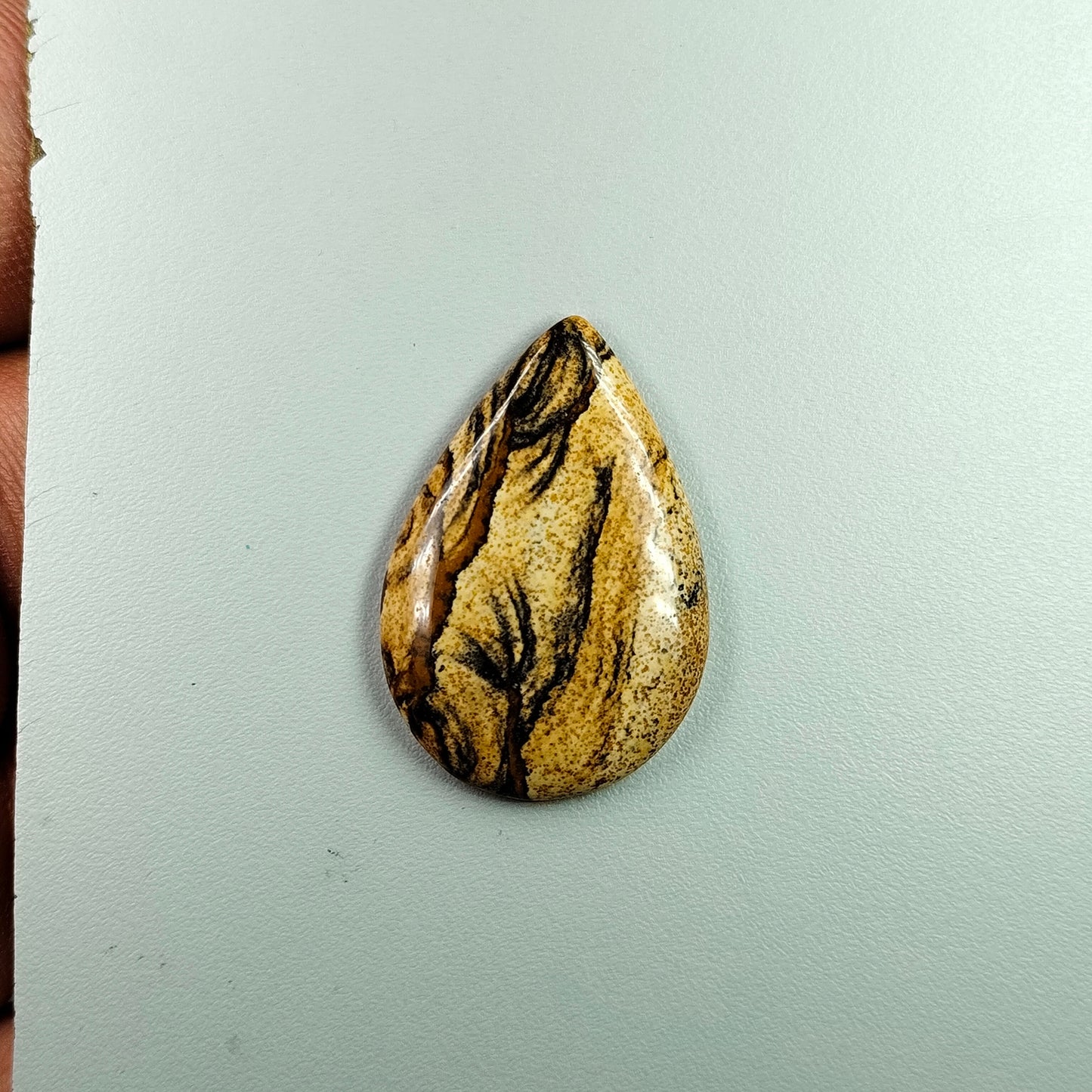 PICTURE JASPER