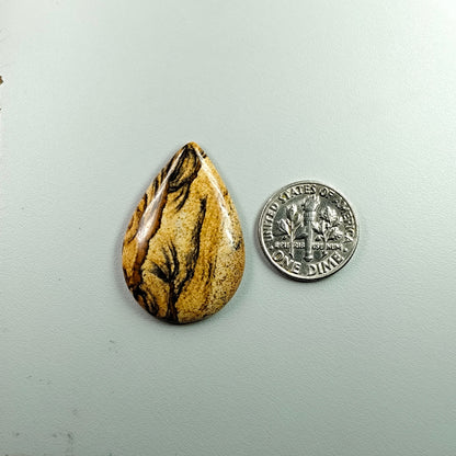 PICTURE JASPER