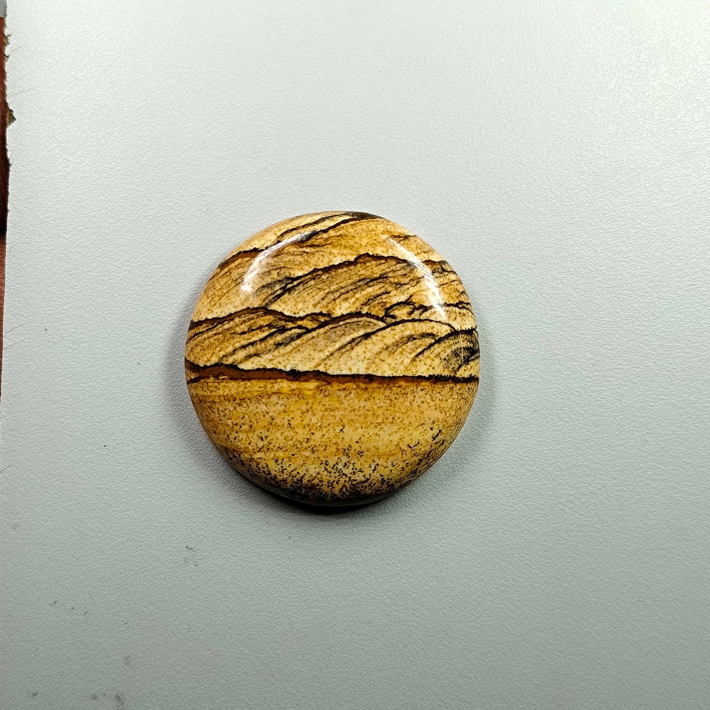 PICTURE JASPER