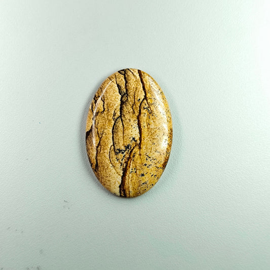 PICTURE JASPER