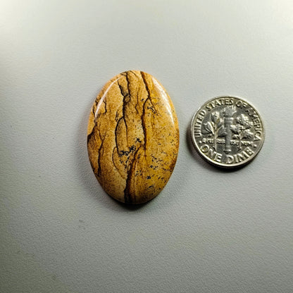 PICTURE JASPER