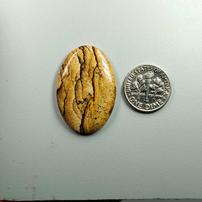 PICTURE JASPER