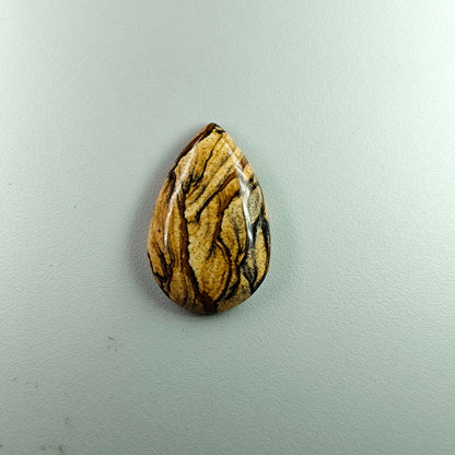 PICTURE JASPER