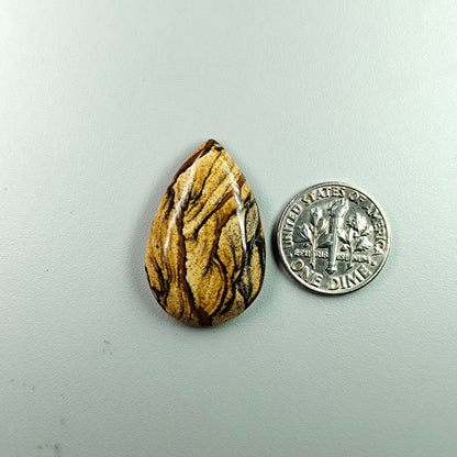 PICTURE JASPER