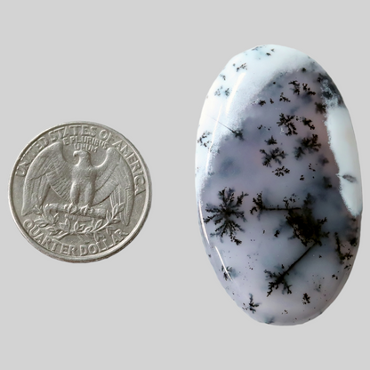 Dendritic agate