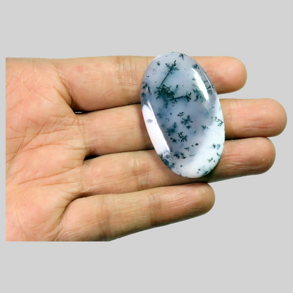 Dendritic agate