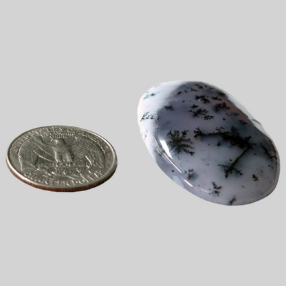 Dendritic agate