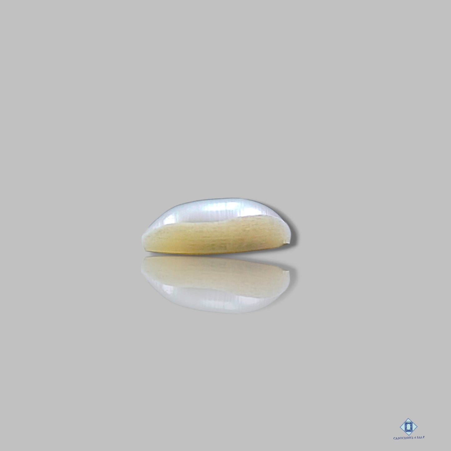 Freshwater Pearl Marquise Cabochons