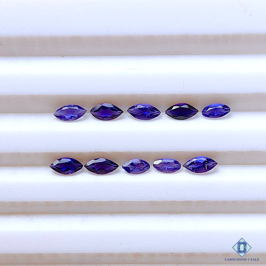 Iolite Marquise Lots