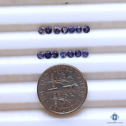 Iolite Round Calibrated