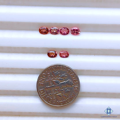 Pink Tourmaline Oval Lots