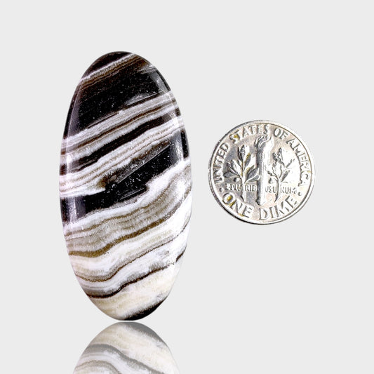 Zebra Jasper