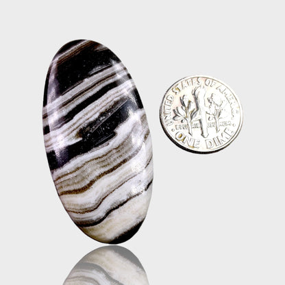 Zebra Jasper