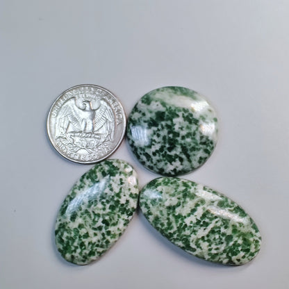 Tree agate