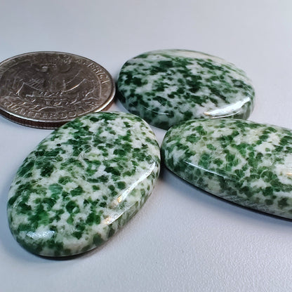 Tree agate