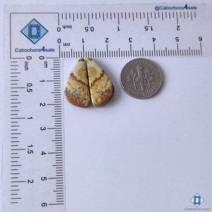 cabochons4sale, brown fancy picture jasper gemstone cabochons displaying unique landscape-inspired markings and a smooth polished finish held between fingers