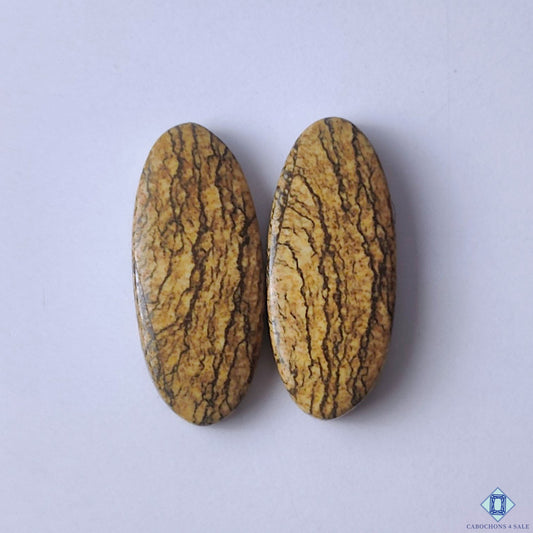 cabochons4sale, oval picture jasper cabochons in natural brown shades with desert-like scenery and expressive mineral formations held between fingers