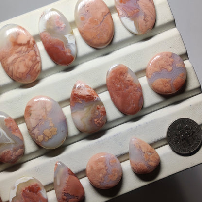 Cabochons4sale polished cherry blossom agate cabochons in various shapes with pink and cream floral patterns.