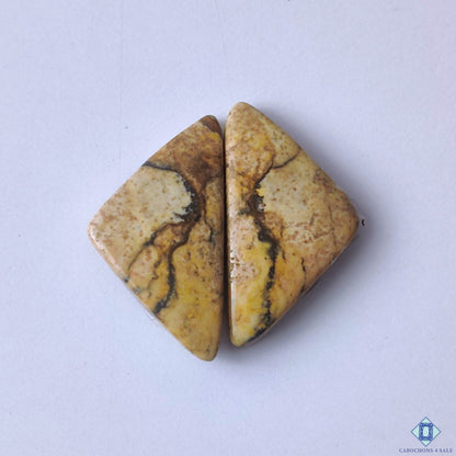 cabochons4sale, fancy brown picture jasper cabochons with desert-inspired patterns, earthy tones and natural gemstone texture held between fingers