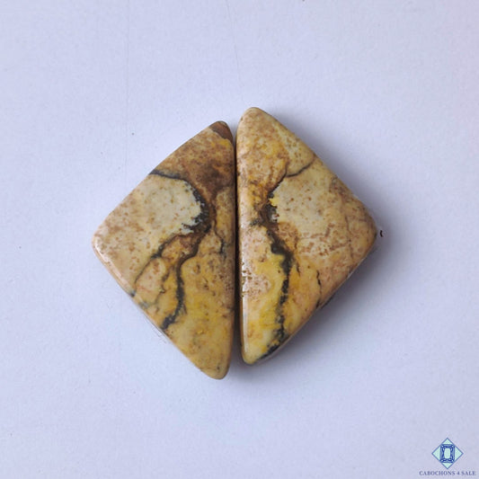 cabochons4sale, fancy brown picture jasper cabochons with desert-inspired patterns, earthy tones and natural gemstone texture held between fingers