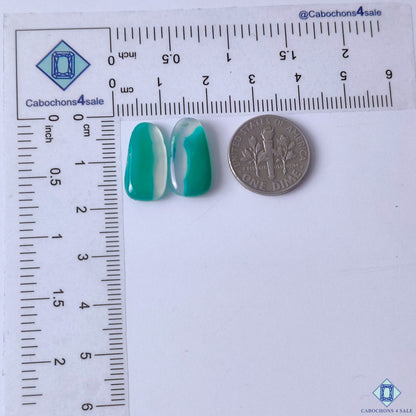 cabochons4sale, fancy green banded agate cabochons in rich green and white shades featuring curved natural banding and distinctive layered gemstone patterns held between fingers