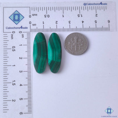 cabochons4sale, polished green malachite oval gemstone cabochons displaying vivid color layers, organic banded patterns and smooth stone surfaces held between fingers
