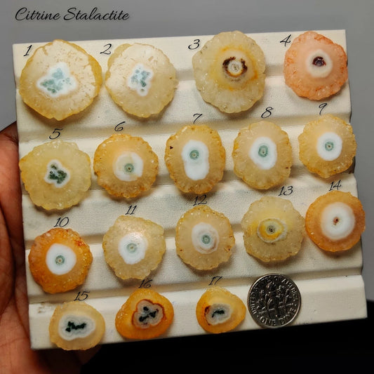 Cabochons4sale collection of natural citrine stalactite slices in various golden yellow and amber shades on a tray.