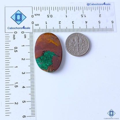 cabochons4sale, natural malachite oval cabochons displaying multiple green shades, flowing concentric formations and unique organic mineral character held between fingers
