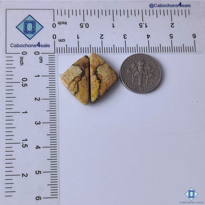 cabochons4sale, brown fancy picture jasper gemstone cabochons displaying artistic scenic markings, organic layers and a polished surface held between fingers