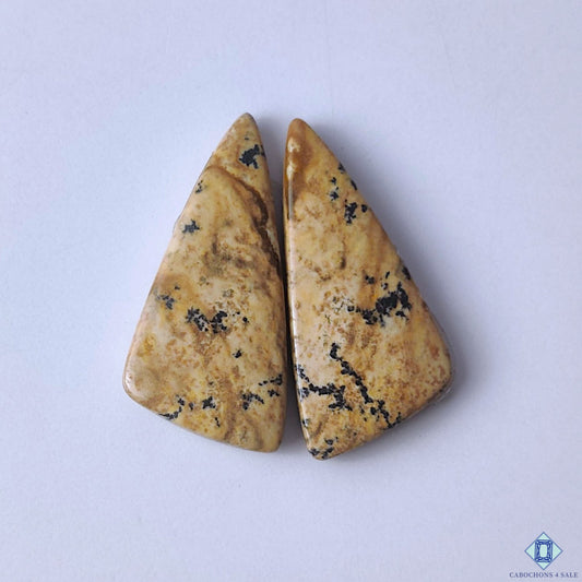 cabochons4sale, fancy brown picture jasper cabochons with earthy scenic patterns and natural mineral details held between fingers