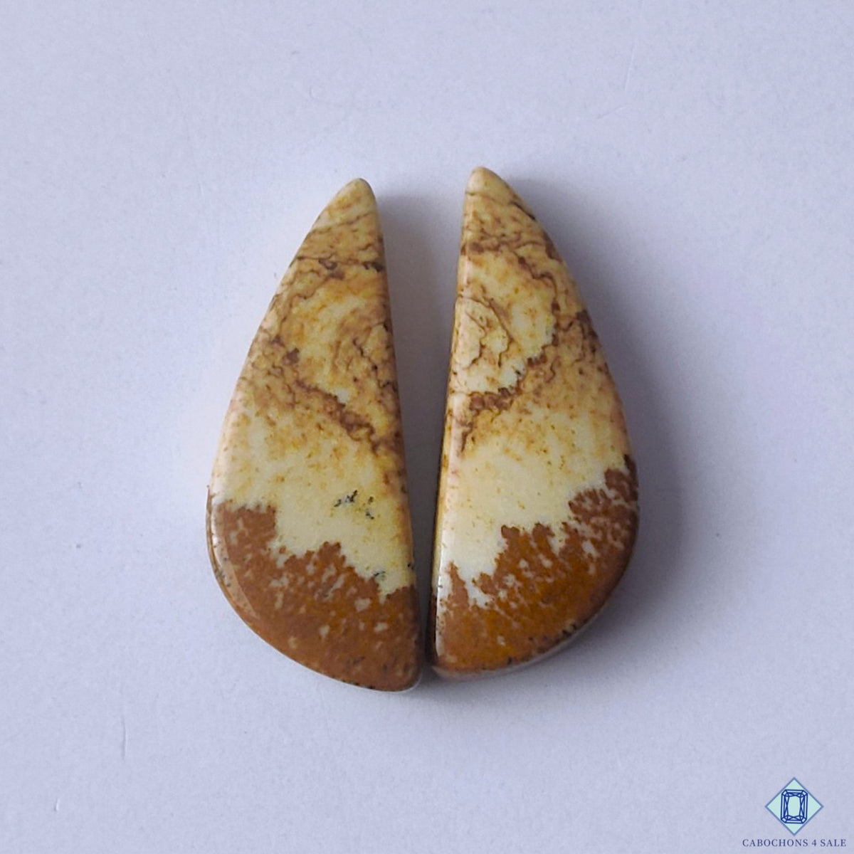cabochons4sale, earthy brown picture jasper fancy cabochons with scenic patterns and natural stone markings held between fingers