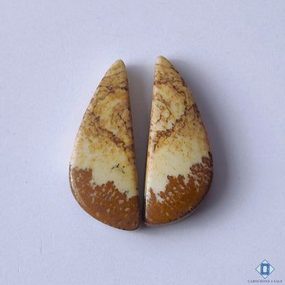 cabochons4sale, earthy brown picture jasper fancy cabochons with scenic patterns and natural stone markings held between fingers