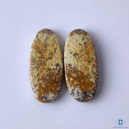cabochons4sale, brown picture jasper oval cabochons with earthy landscape patterns and natural mineral details held between fingers