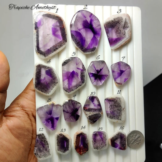 Cabochons4sale collection of polished Trapiche Amethyst cabochons showing unique purple radial patterns on a tray